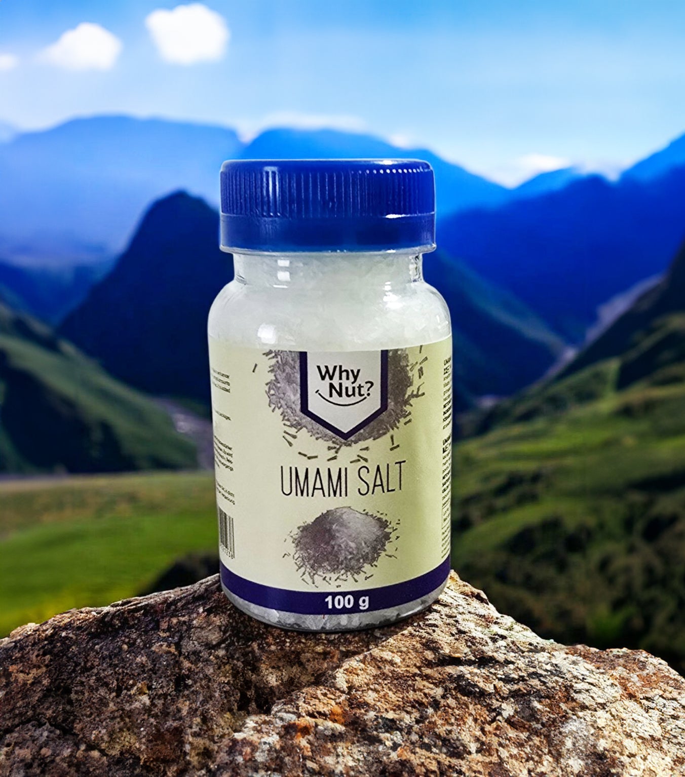 Umami Salt